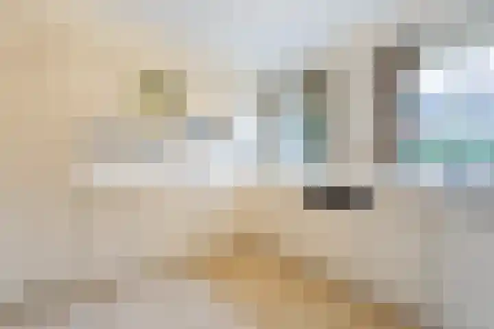 Schimmelpennincklaan 1 Putten thumbnail 26