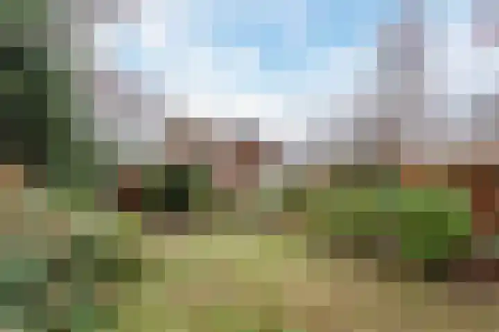 Schimmelpennincklaan 1 Putten foto 3