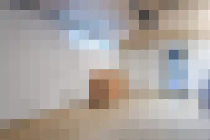 Schimmelpennincklaan 1 Putten thumbnail 32
