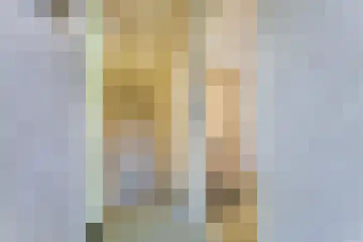 Schimmelpennincklaan 1 Putten thumbnail 35