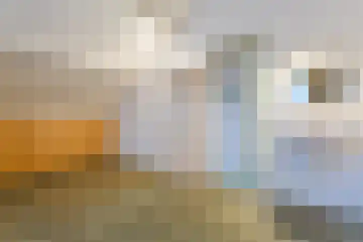 Schimmelpennincklaan 1 Putten thumbnail 36