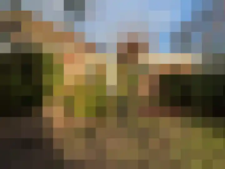Schimmelpennincklaan 1 Putten thumbnail 4