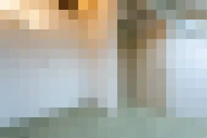 Schimmelpennincklaan 1 Putten thumbnail 42