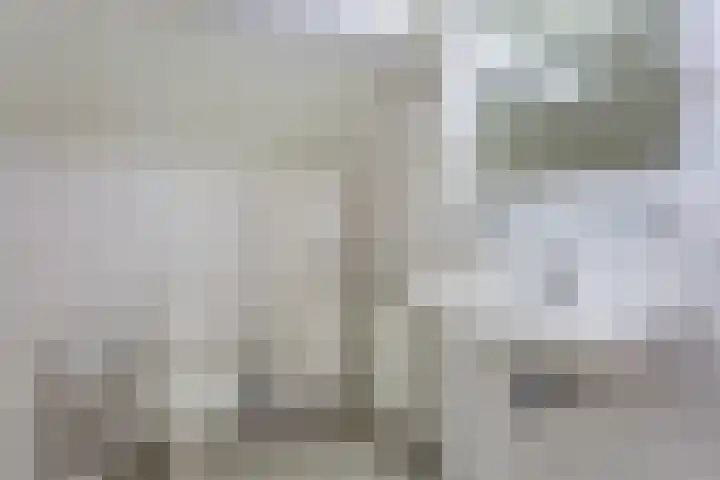 Schimmelpennincklaan 1 Putten thumbnail 46