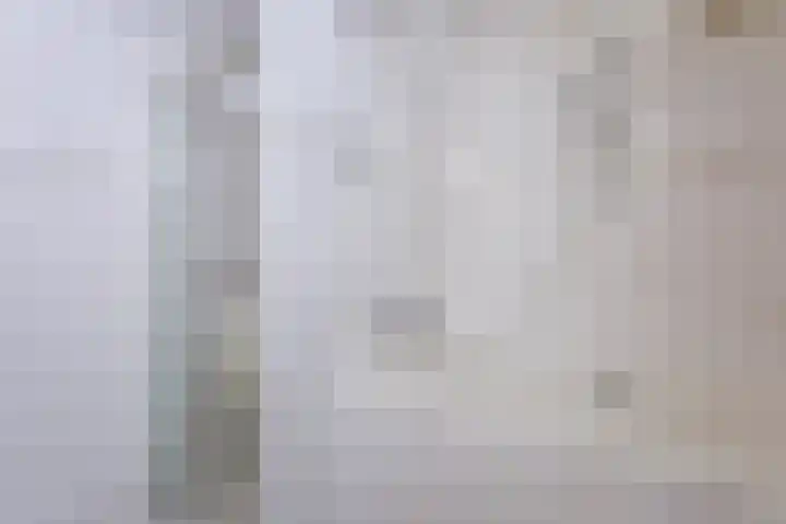 Schimmelpennincklaan 1 Putten thumbnail 47