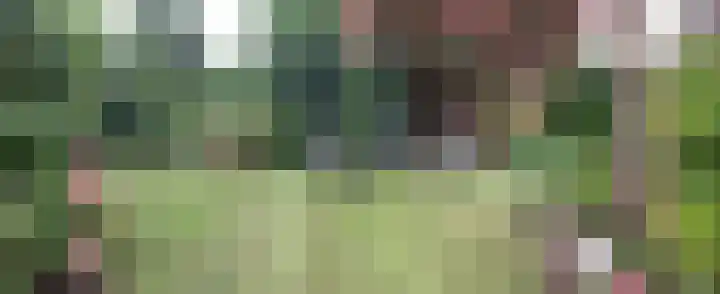 Schimmelpennincklaan 1 Putten thumbnail 5