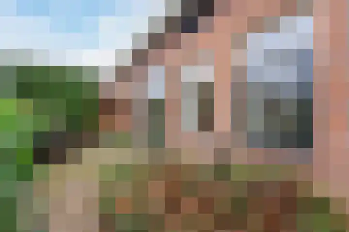 Schimmelpennincklaan 1 Putten thumbnail 51