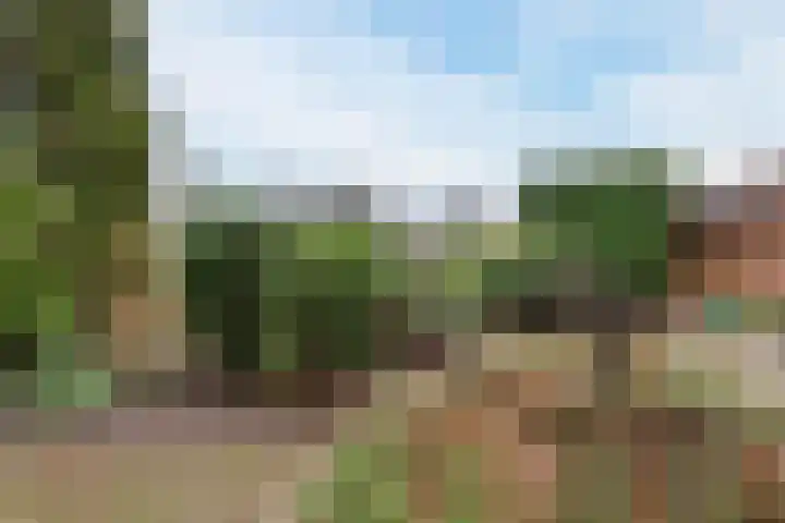Schimmelpennincklaan 1 Putten thumbnail 52