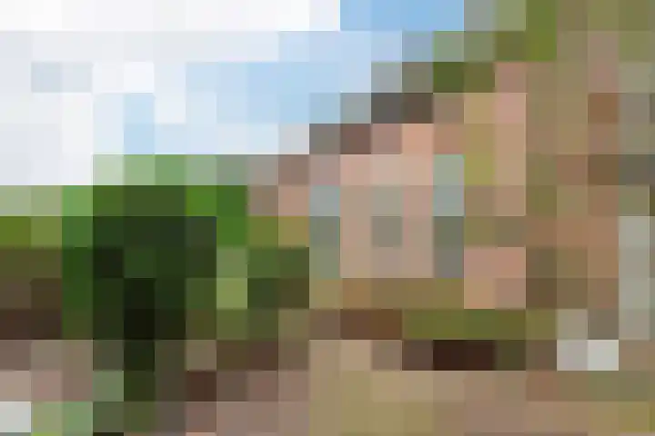 Schimmelpennincklaan 1 Putten thumbnail 53