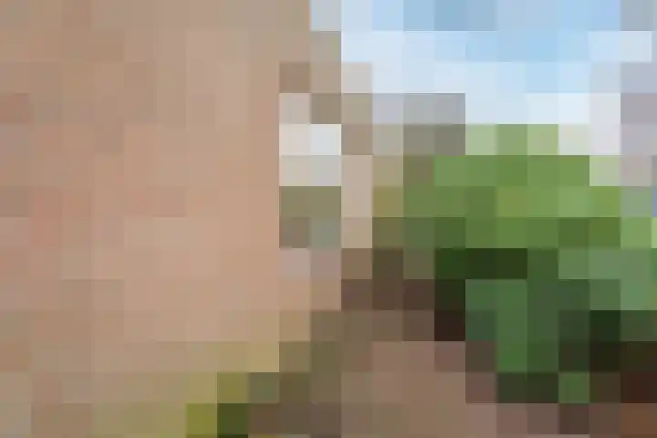 Schimmelpennincklaan 1 Putten thumbnail 54