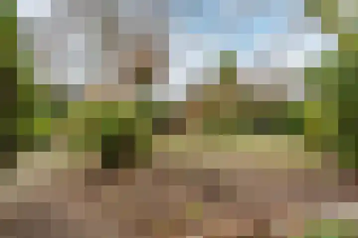 Schimmelpennincklaan 1 Putten thumbnail 55