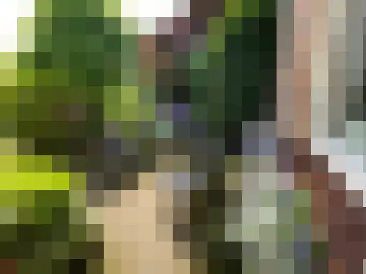 Schimmelpennincklaan 1 Putten thumbnail 6