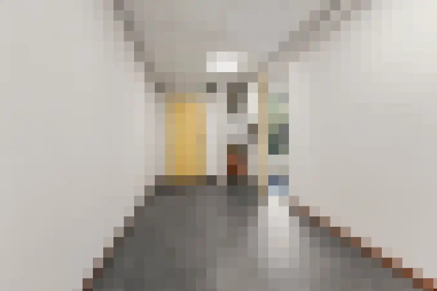 Schimmelpennincklaan 15 Utrecht thumbnail 20