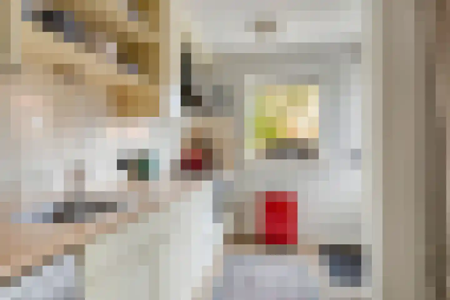 Schimmelpennincklaan 15 Zutphen thumbnail 18