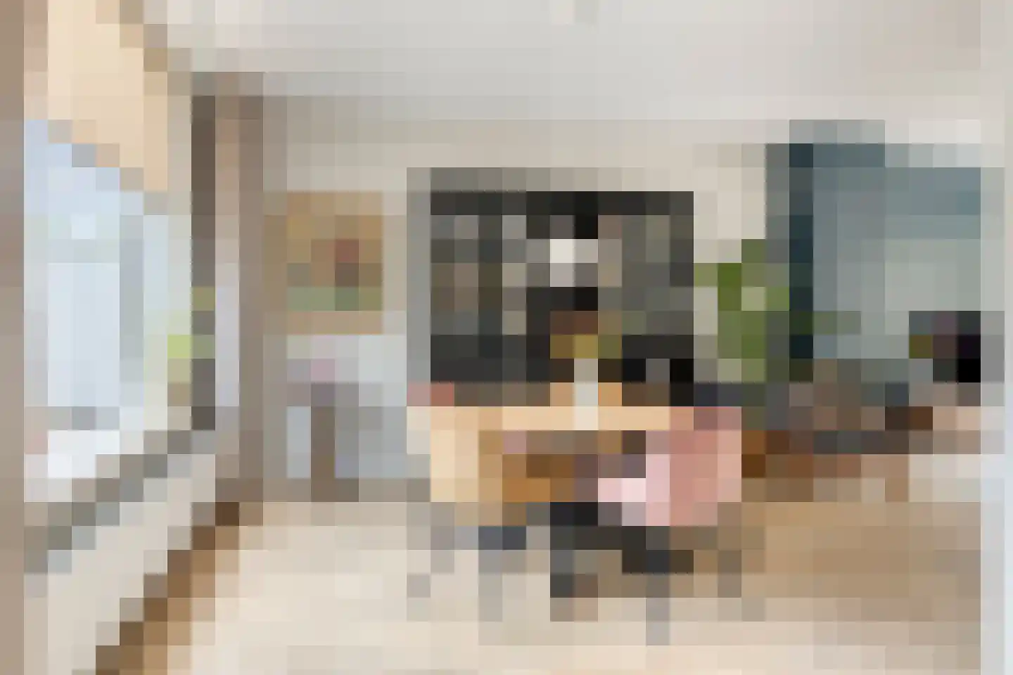 Schimmelpennincklaan 15 Zutphen thumbnail 19
