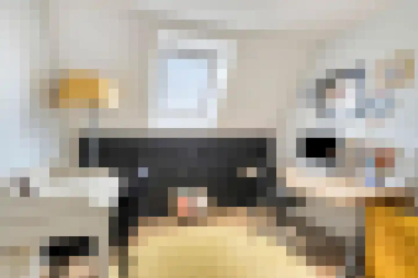 Schimmelpennincklaan 15 Zutphen thumbnail 39