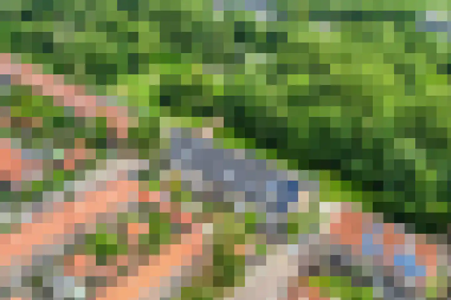 Schimmelpennincklaan 15 Zutphen thumbnail 5