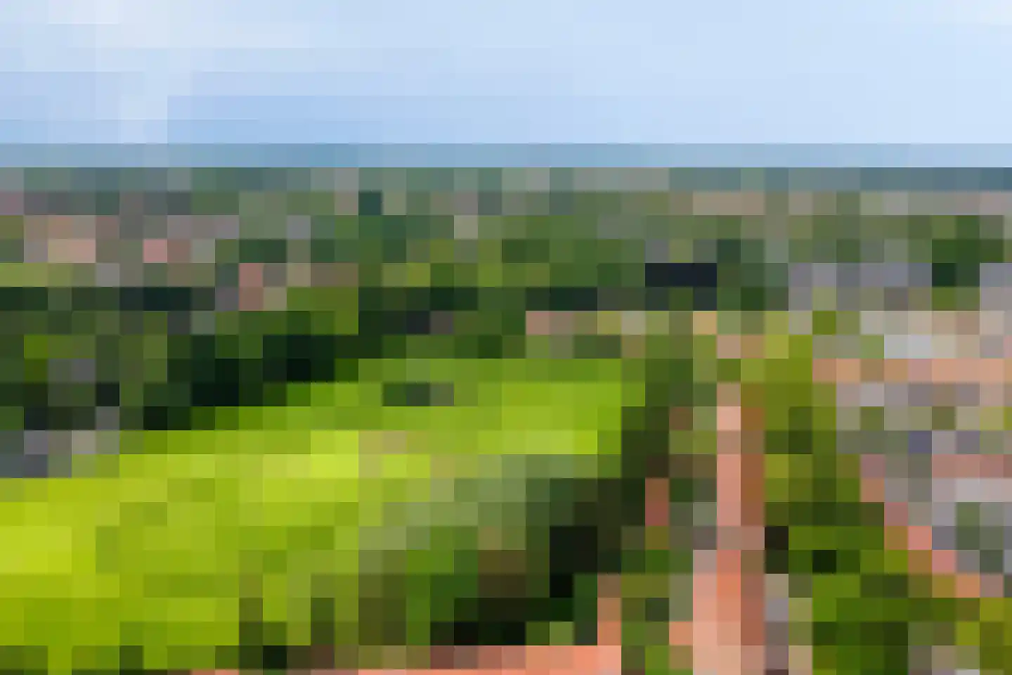 Schimmelpennincklaan 15 Zutphen thumbnail 52