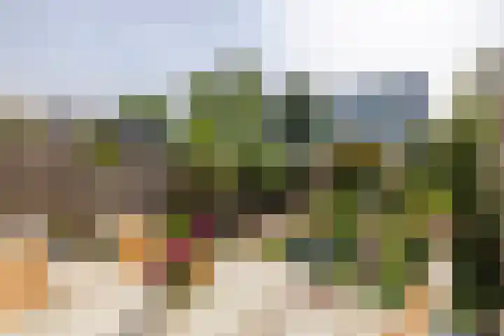 Schimmelpennincklaan 16 Gorinchem thumbnail 13