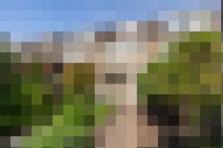 Schimmelpennincklaan 16 Gorinchem thumbnail 17