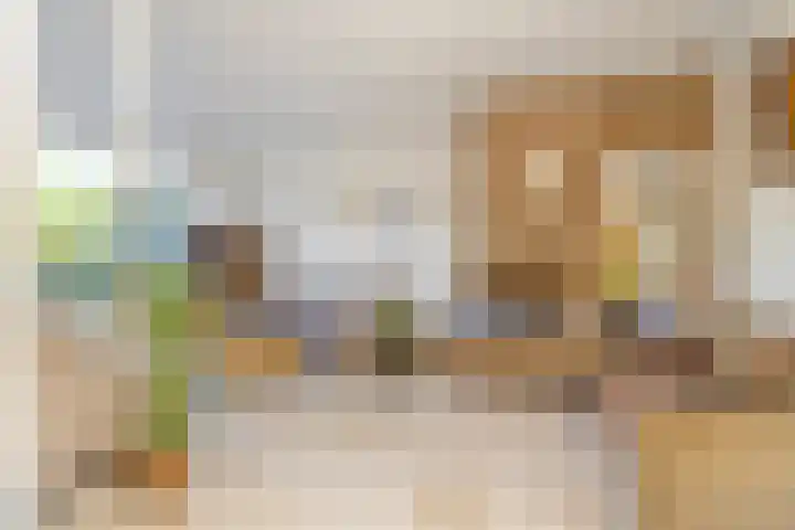 Schimmelpennincklaan 16 Gorinchem thumbnail 5