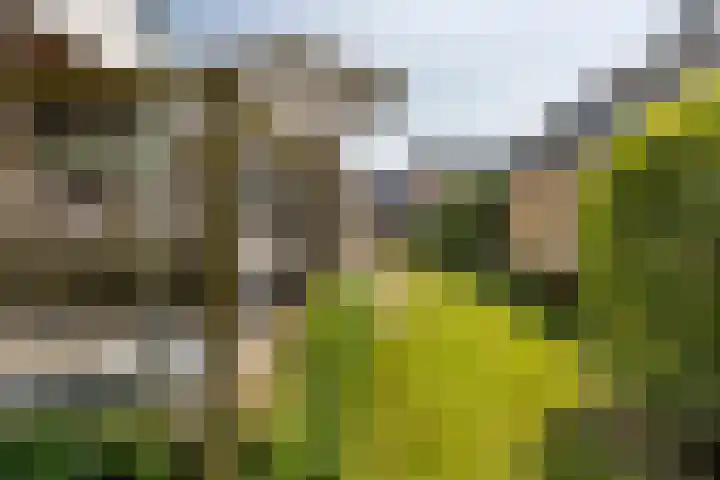 Schimmelpennincklaan 19 Gorinchem thumbnail 20