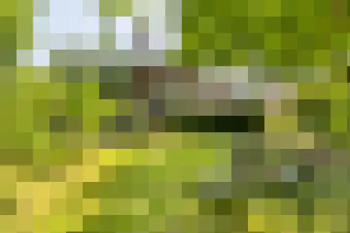 Schimmelpennincklaan 19 Gorinchem thumbnail 43