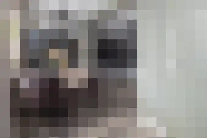Schimmelpennincklaan 22 Barneveld thumbnail 12