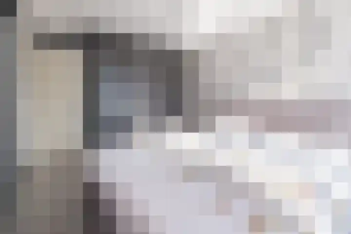 Schimmelpennincklaan 22 Barneveld thumbnail 17