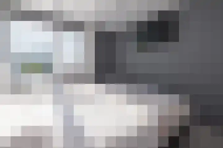 Schimmelpennincklaan 22 Barneveld thumbnail 18