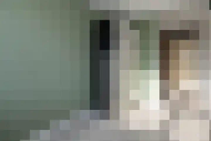 Schimmelpennincklaan 22 Barneveld thumbnail 20