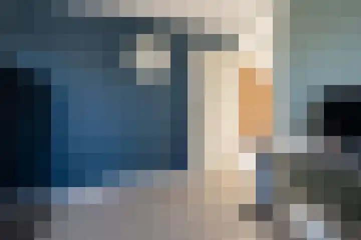 Schimmelpennincklaan 22 Barneveld thumbnail 22