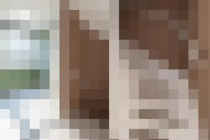 Schimmelpennincklaan 22 Barneveld thumbnail 25