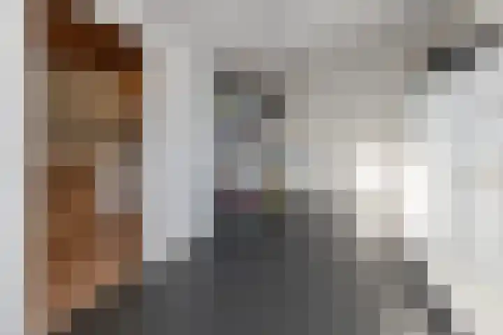 Schimmelpennincklaan 22 Barneveld thumbnail 26