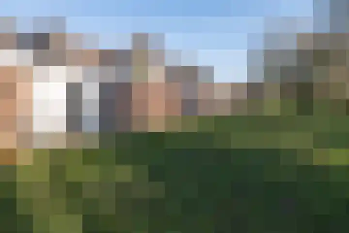 Schimmelpennincklaan 22 Barneveld thumbnail 40