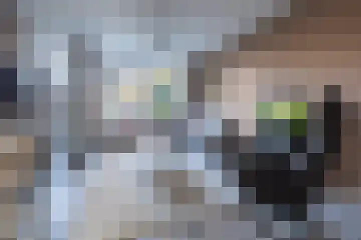 Schimmelpennincklaan 22 Barneveld thumbnail 5
