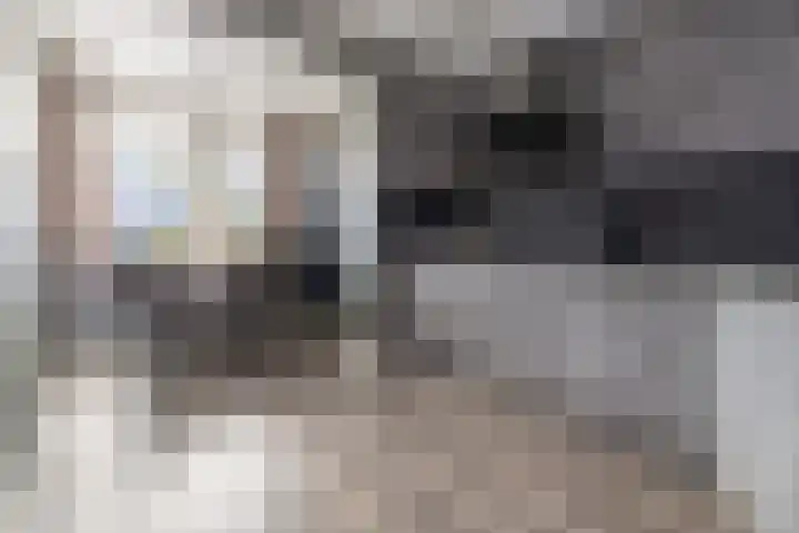 Schimmelpennincklaan 22 Barneveld thumbnail 6