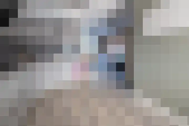 Schimmelpennincklaan 22 Barneveld thumbnail 7