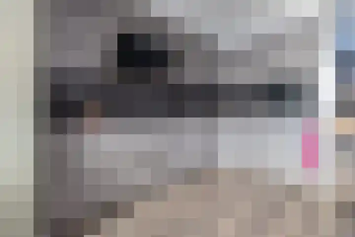 Schimmelpennincklaan 22 Barneveld thumbnail 8