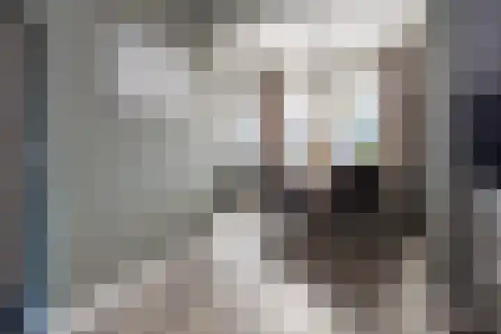 Schimmelpennincklaan 22 Barneveld thumbnail 9