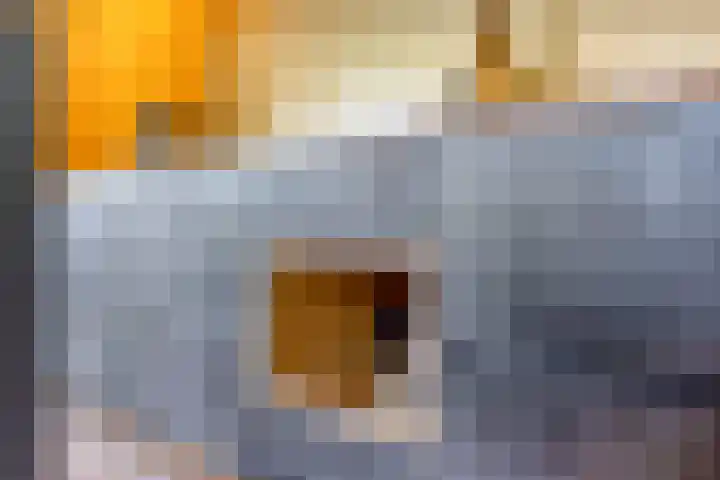 Schimmelpennincklaan 24 b Wijhe thumbnail 12