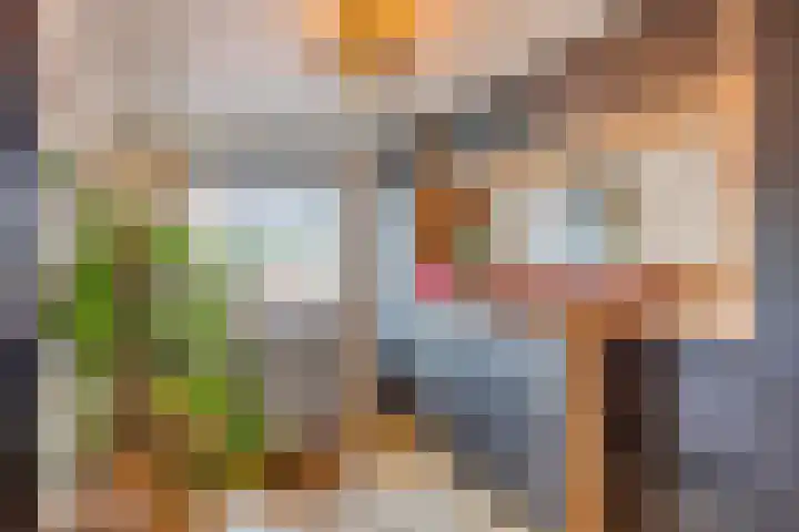 Schimmelpennincklaan 24 b Wijhe thumbnail 29