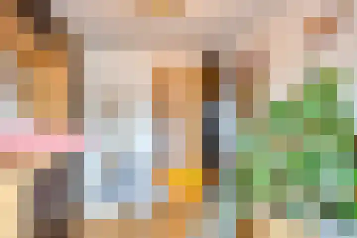 Schimmelpennincklaan 24 b Wijhe thumbnail 30