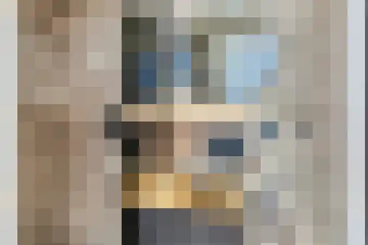 Schimmelpennincklaan 24 b Wijhe thumbnail 31
