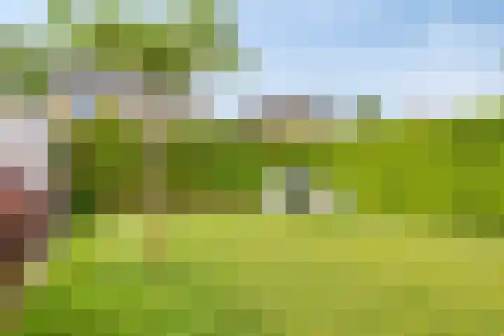 Schimmelpennincklaan 24 b Wijhe thumbnail 40