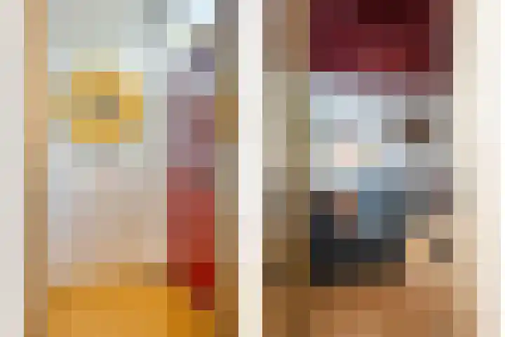 Schimmelpennincklaan 24 b Wijhe thumbnail 5
