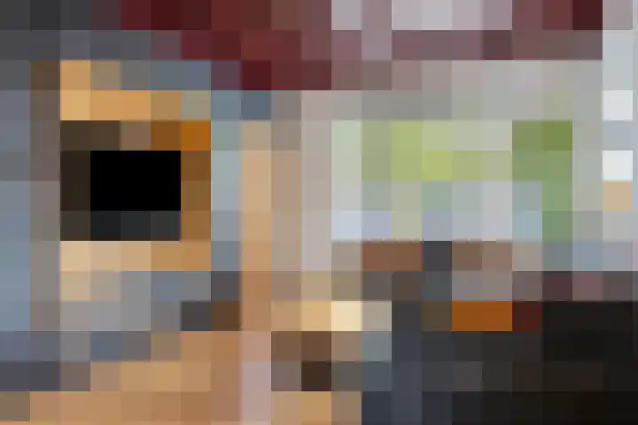 Schimmelpennincklaan 24 b Wijhe thumbnail 6