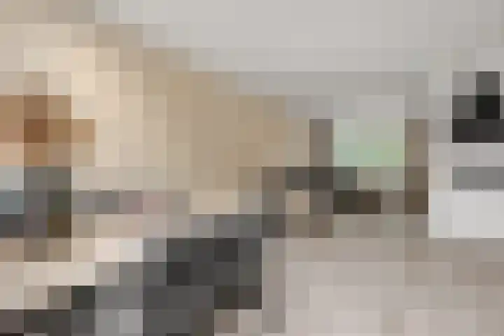 Schimmelpennincklaan 24 Barneveld thumbnail 13