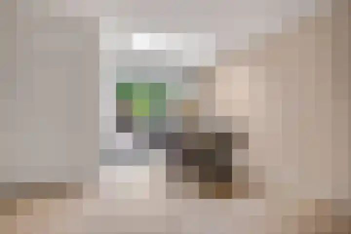 Schimmelpennincklaan 24 Barneveld thumbnail 14