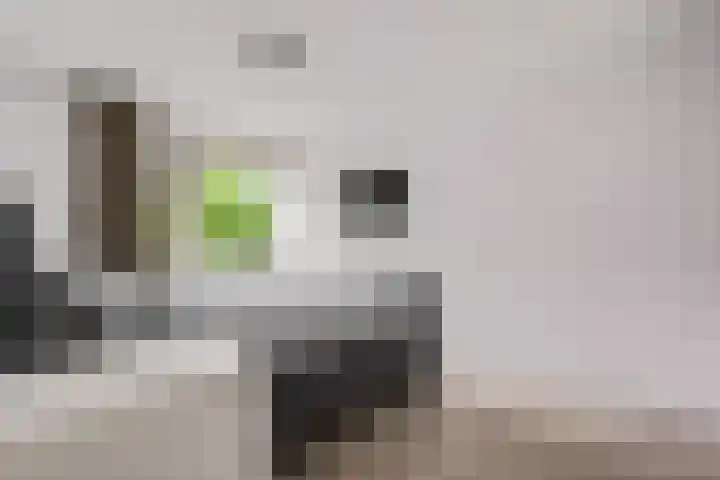 Schimmelpennincklaan 24 Barneveld thumbnail 18